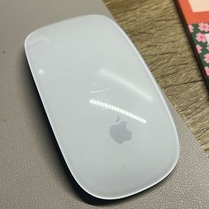 apple mouse